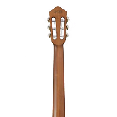 Ibanez FRH10NL-BSF Thinline Solak Elektro Klasik Gitar